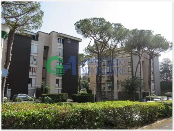 Bilocale Roma