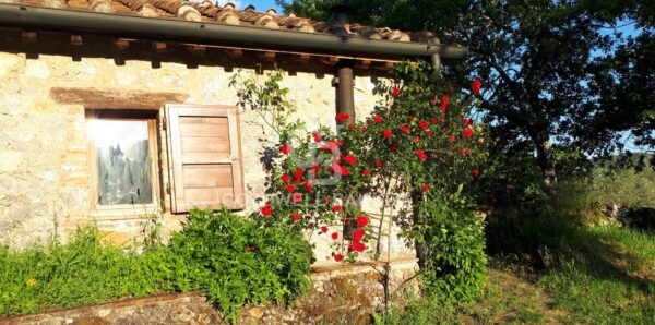 Rustico/Casale via Località Vallone 99, Chiusdino