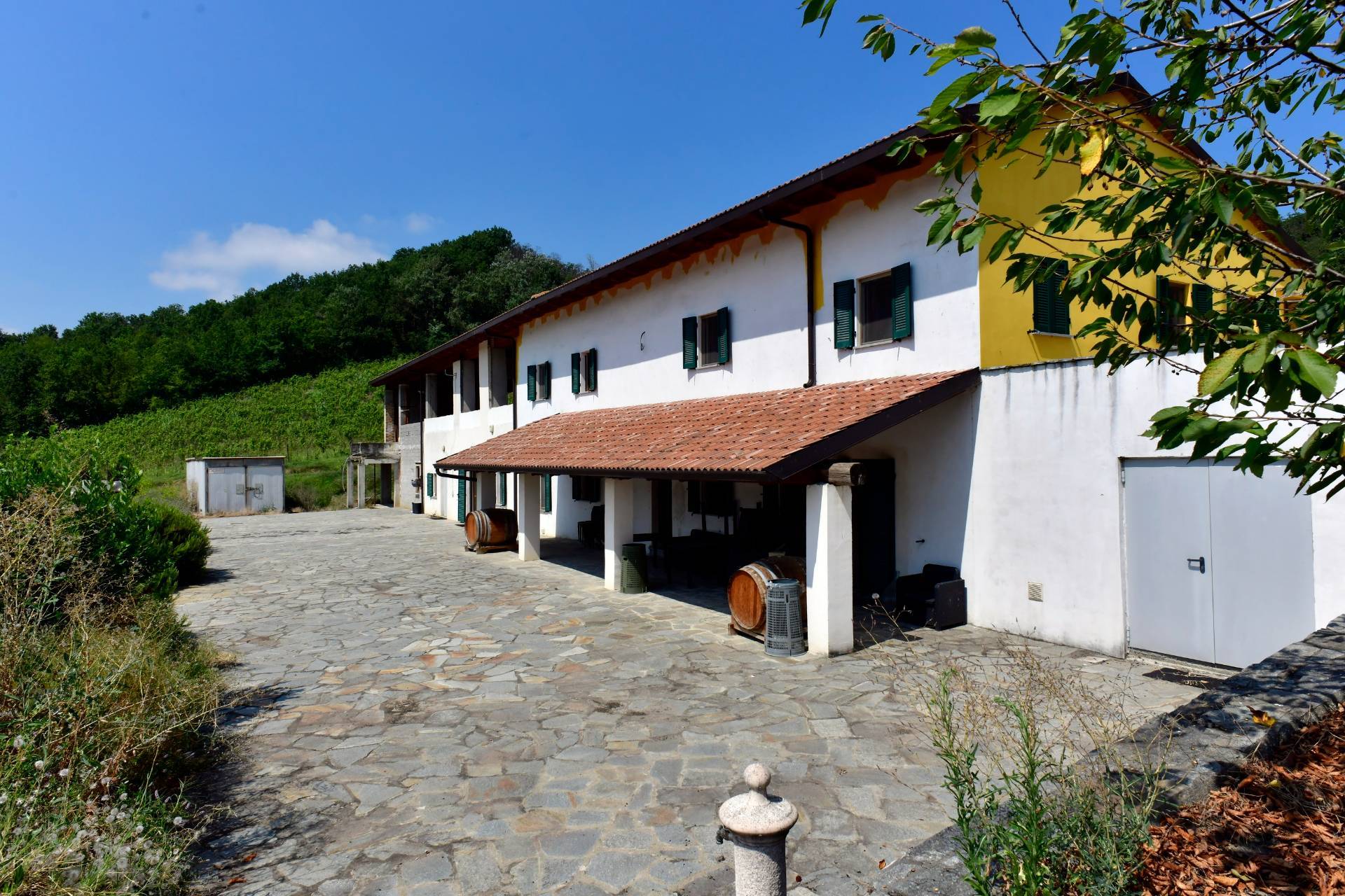Immagine per Villa in vendita a Mombaruzzo Via Cervino 