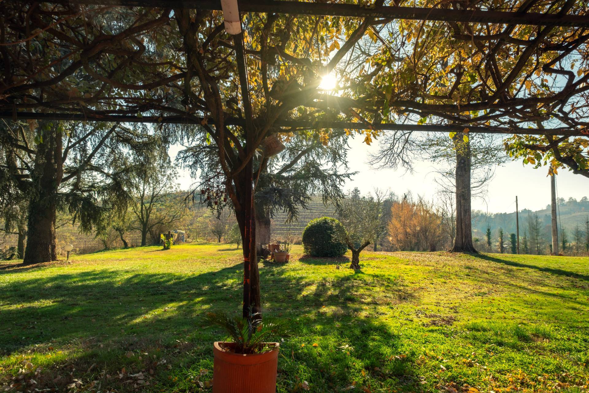 Immagine per Villa in vendita a Vaglio Serra strada provinciale 40