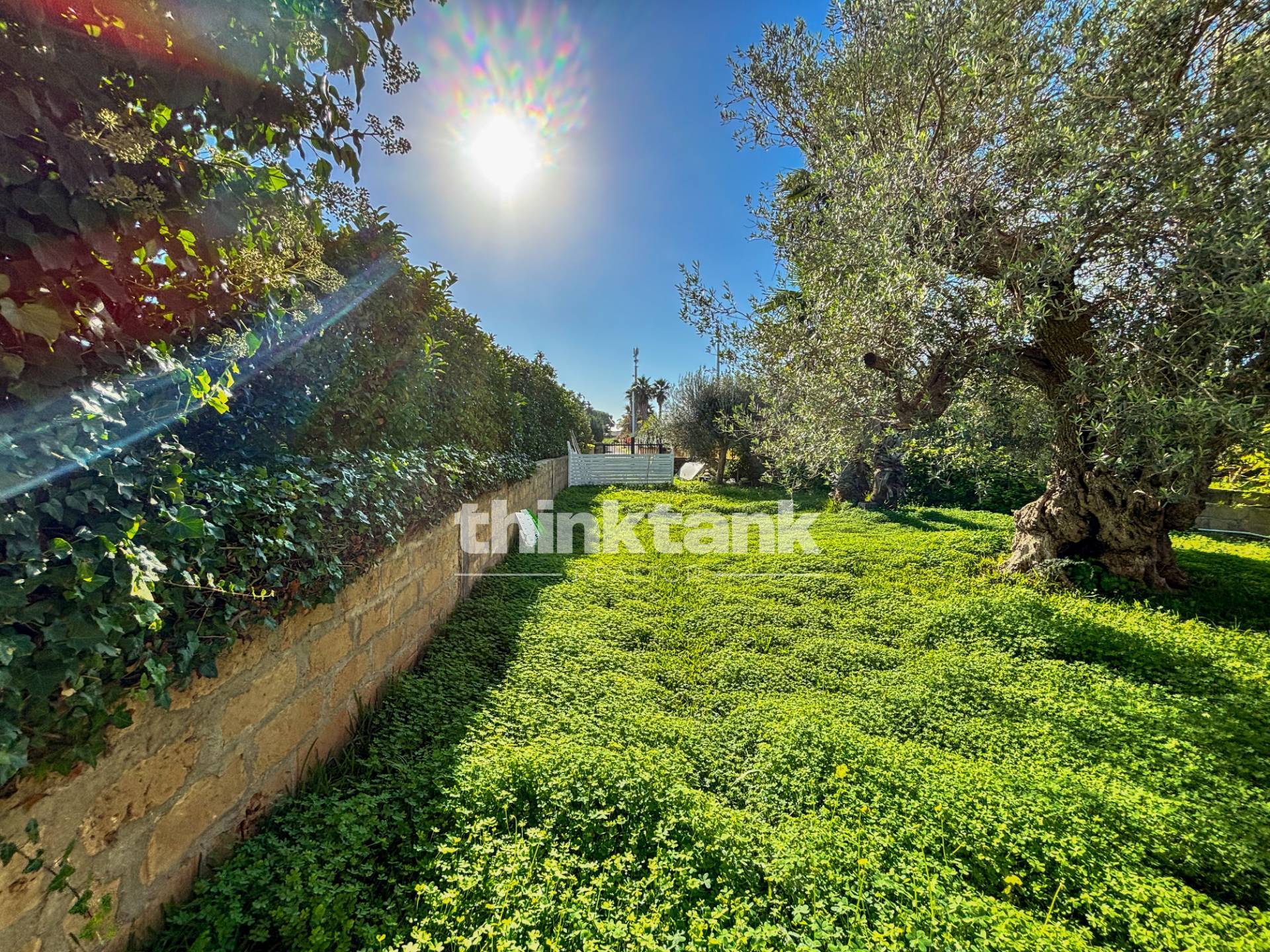 Immagine per Villa in vendita a Pachino Via dell'Oasi 