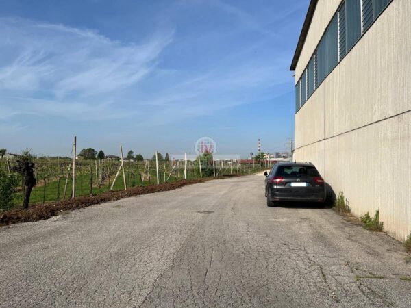 Capannone Industriale via Del Lavoro, Lonigo