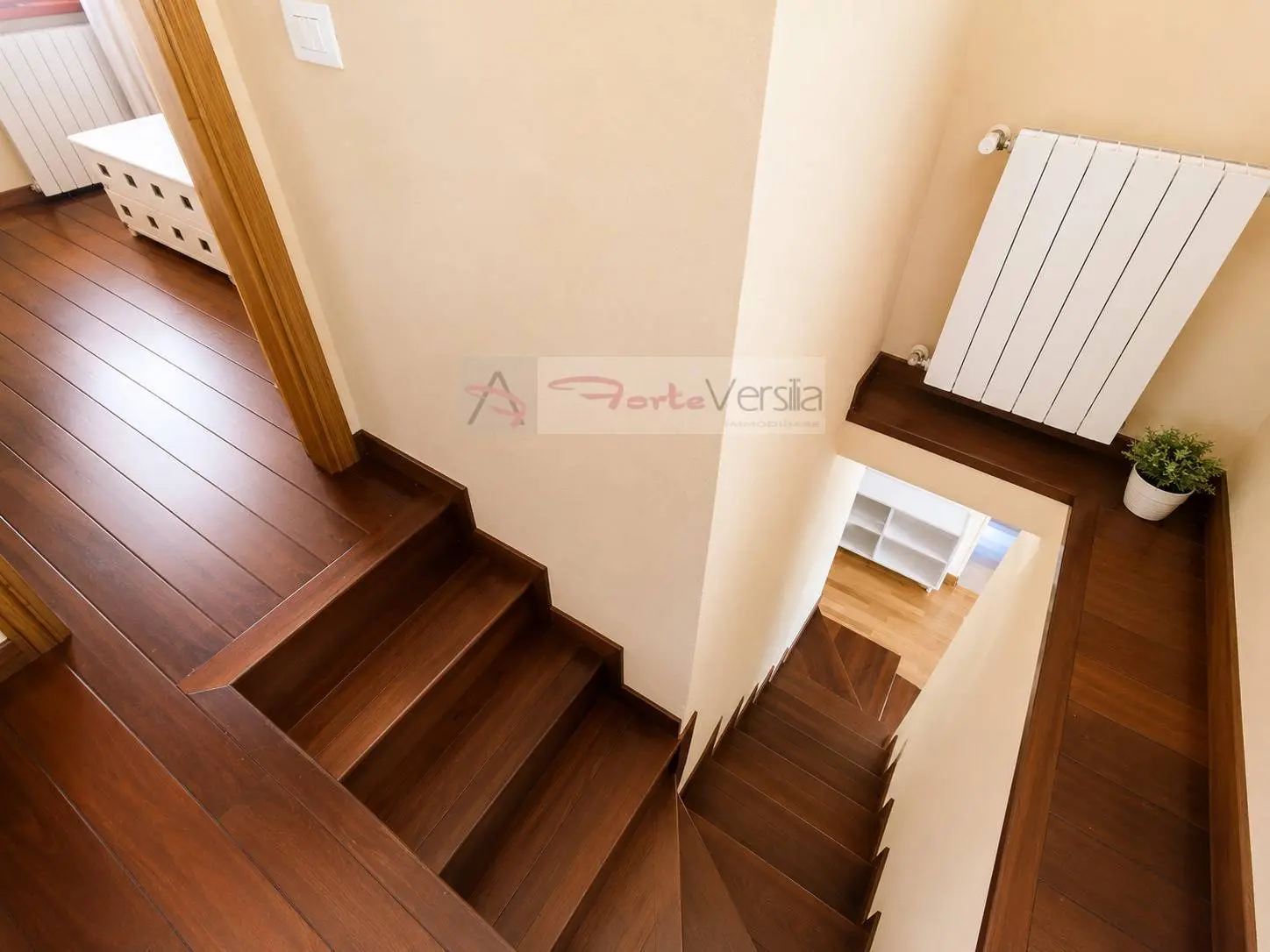 Immagine per Villa in vendita a Pietrasanta  