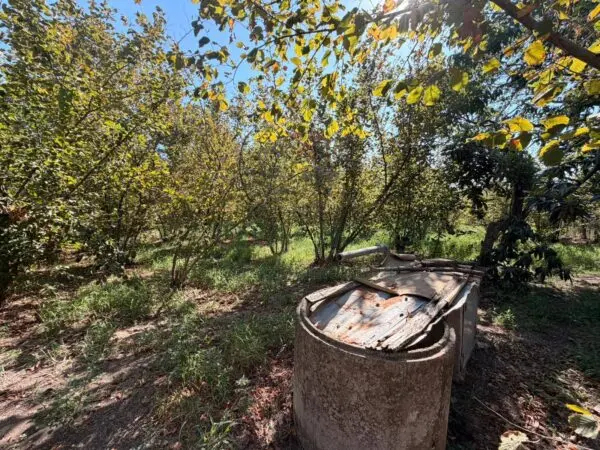 Terreno Agricolo via Napoli, Massa Di Somma