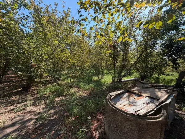 Terreno Agricolo via Napoli, Massa Di Somma