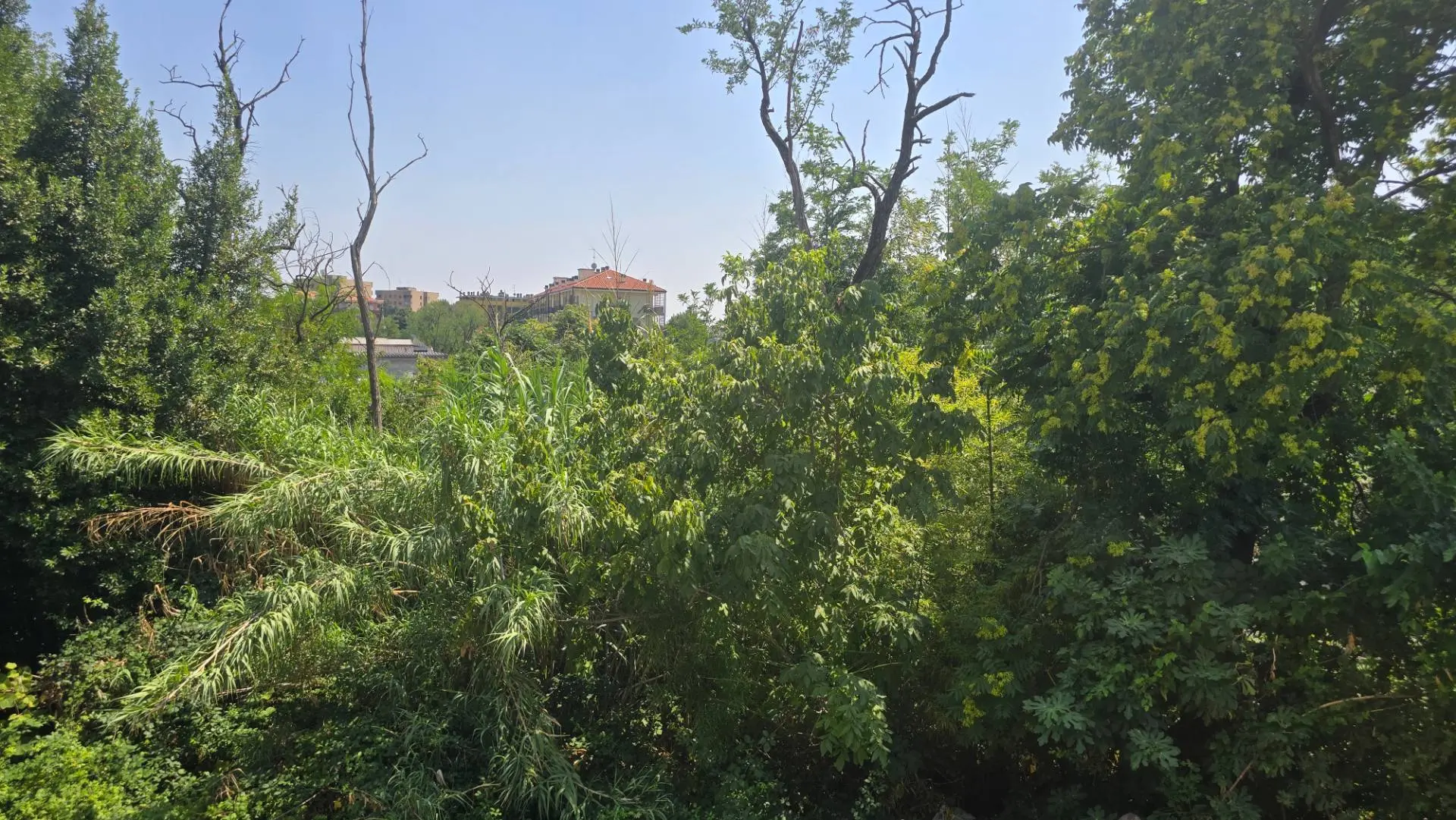 Immagine per Appartamento in vendita a Milano Via Seguro 70