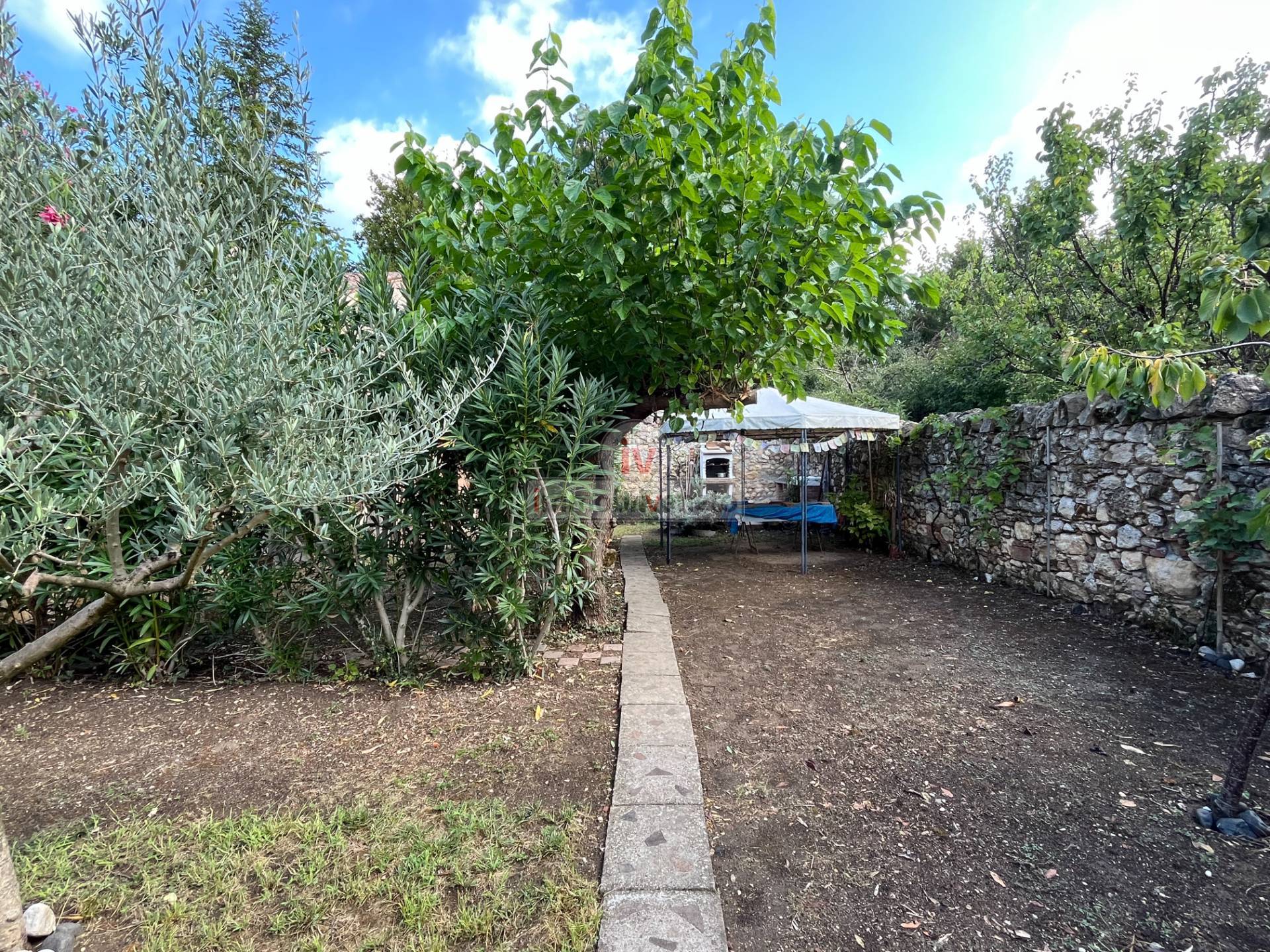 Immagine per Villetta a schiera in vendita a Lonigo VIA ROMA 52