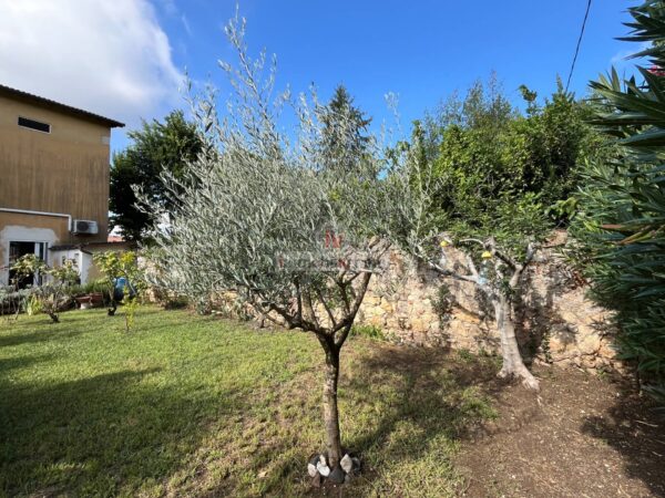 Immagine per Villetta a schiera in vendita a Lonigo VIA ROMA 52