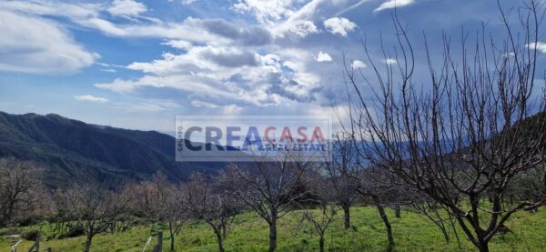 Immagine per Villa in vendita a Graniti Contrada Feo 