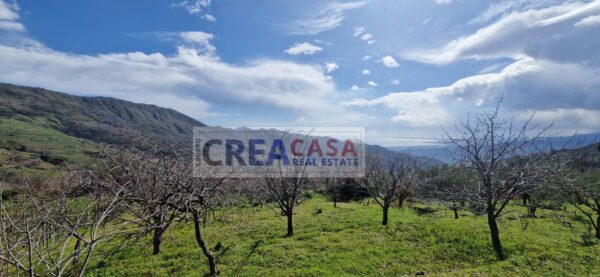 Immagine per Villa in vendita a Graniti Contrada Feo 