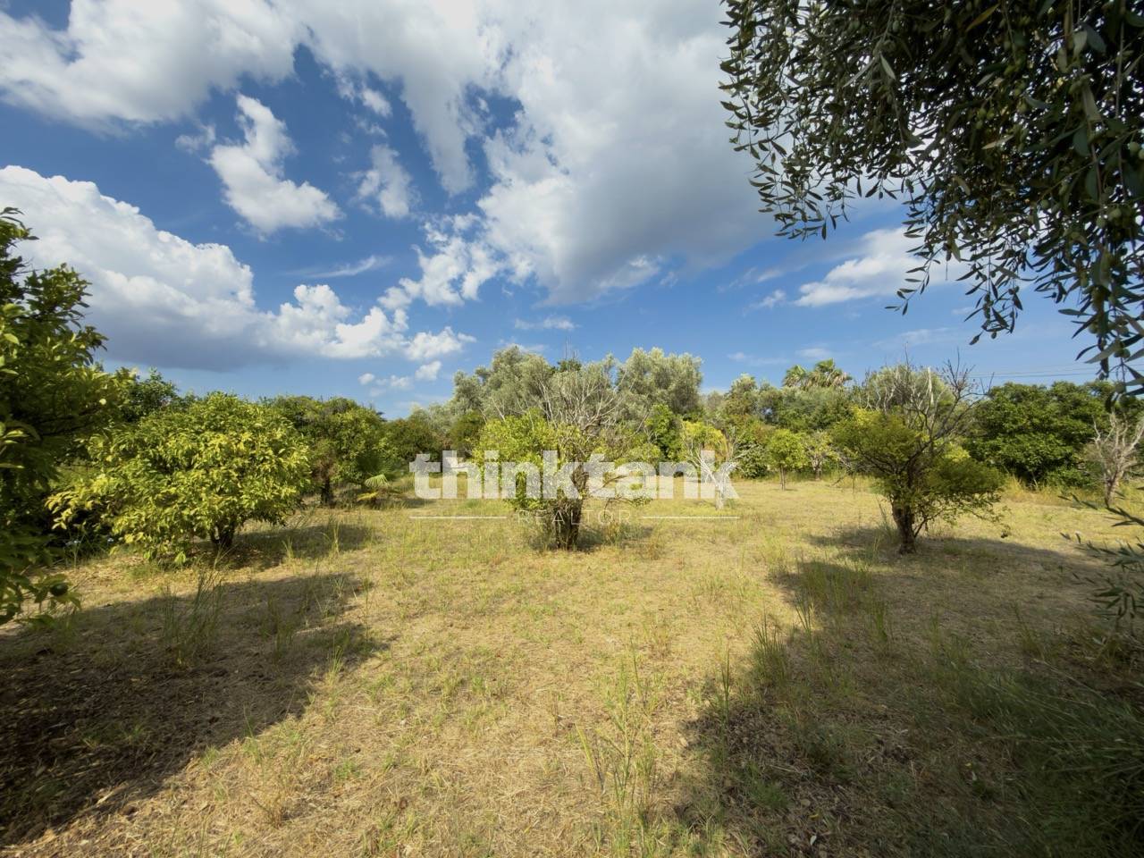 Immagine per Terreno Edificabile in vendita a Siracusa Via Del Pettirosso 
