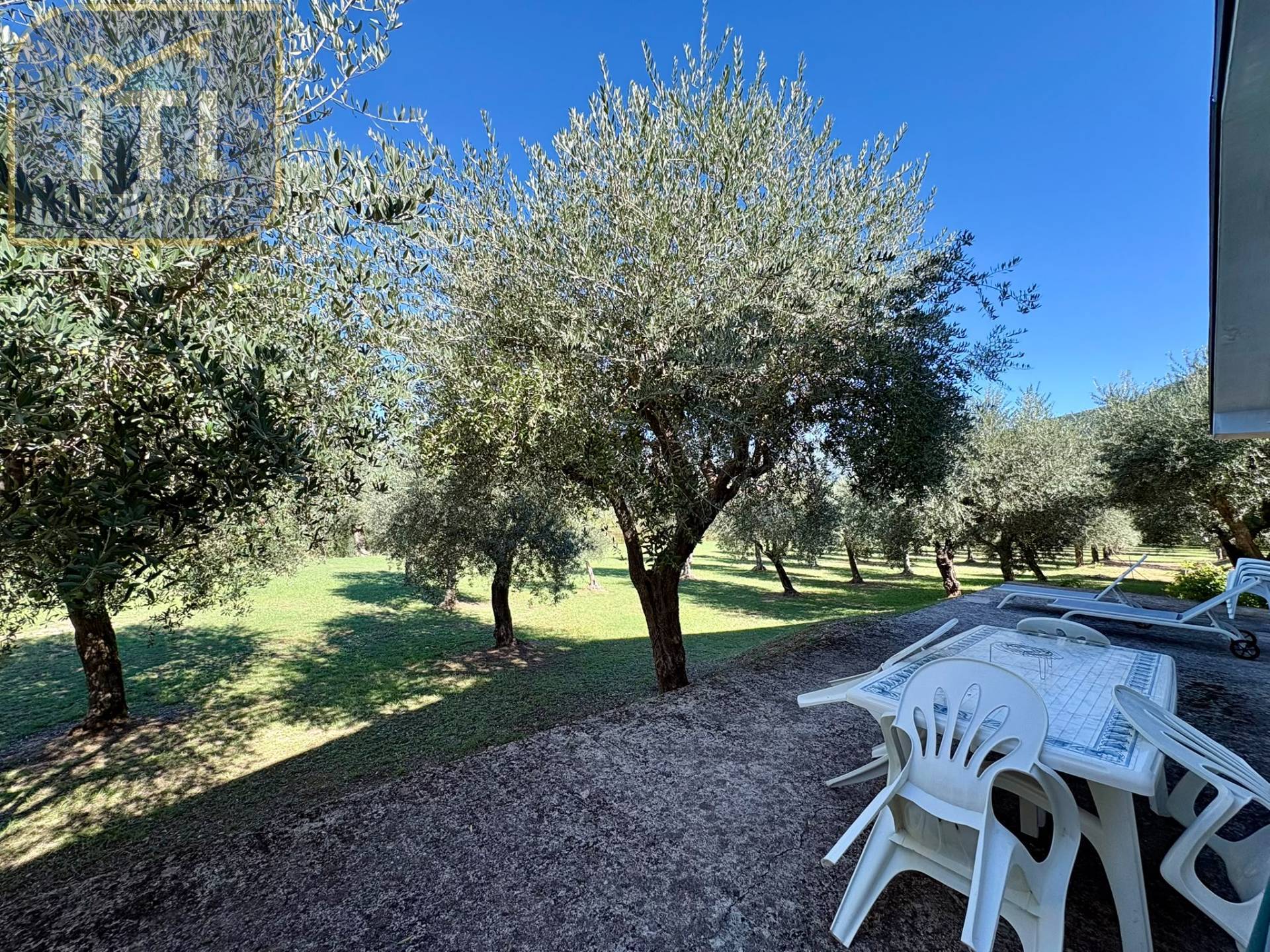 Immagine per Casa indipendente in vendita a Sant'Elia Fiumerapido Via Oliveto 