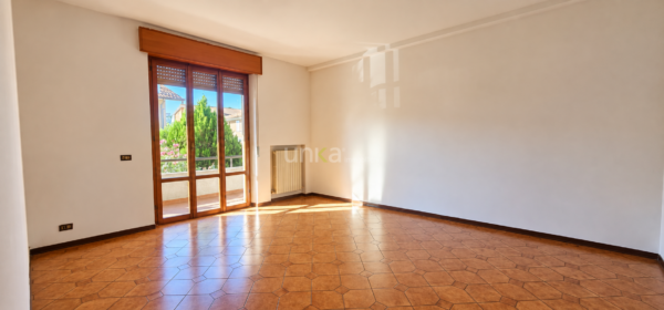 Monolocale 61, Castelbellino