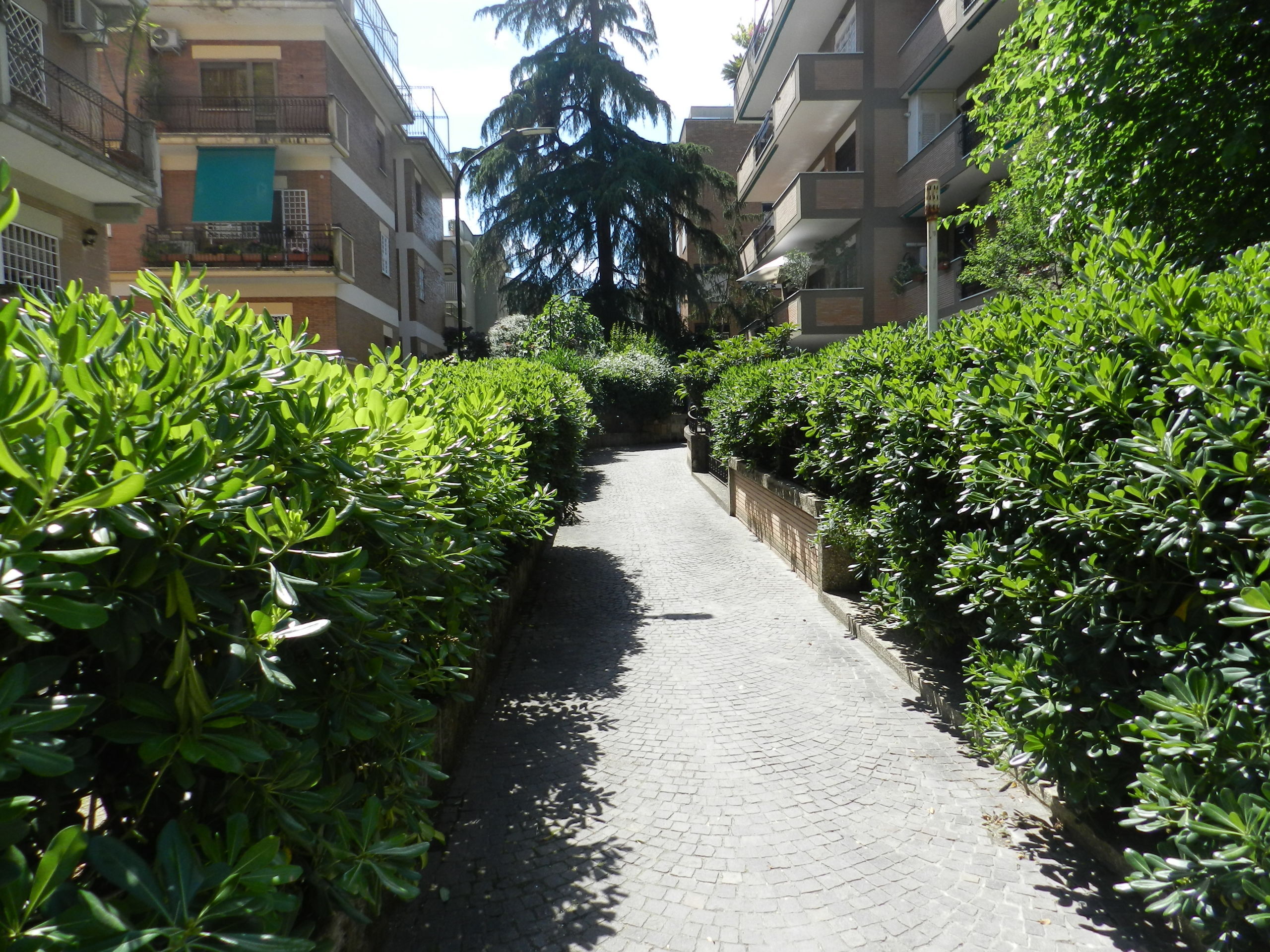 Immagine per Stanza in affitto a Roma via Dino Frescobaldi 49