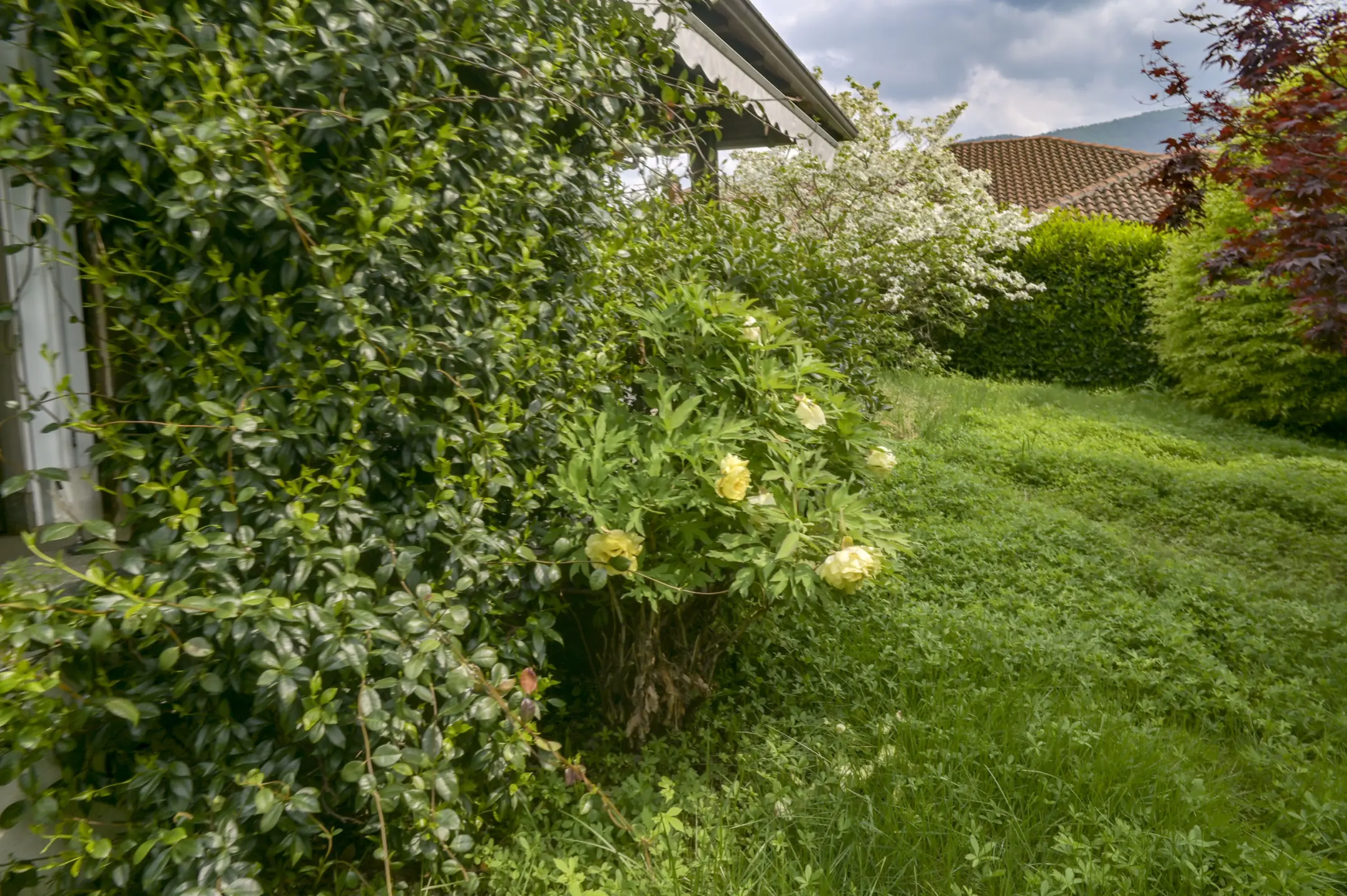 Immagine per Villa in vendita a Lanzo Torinese via Loreto 86