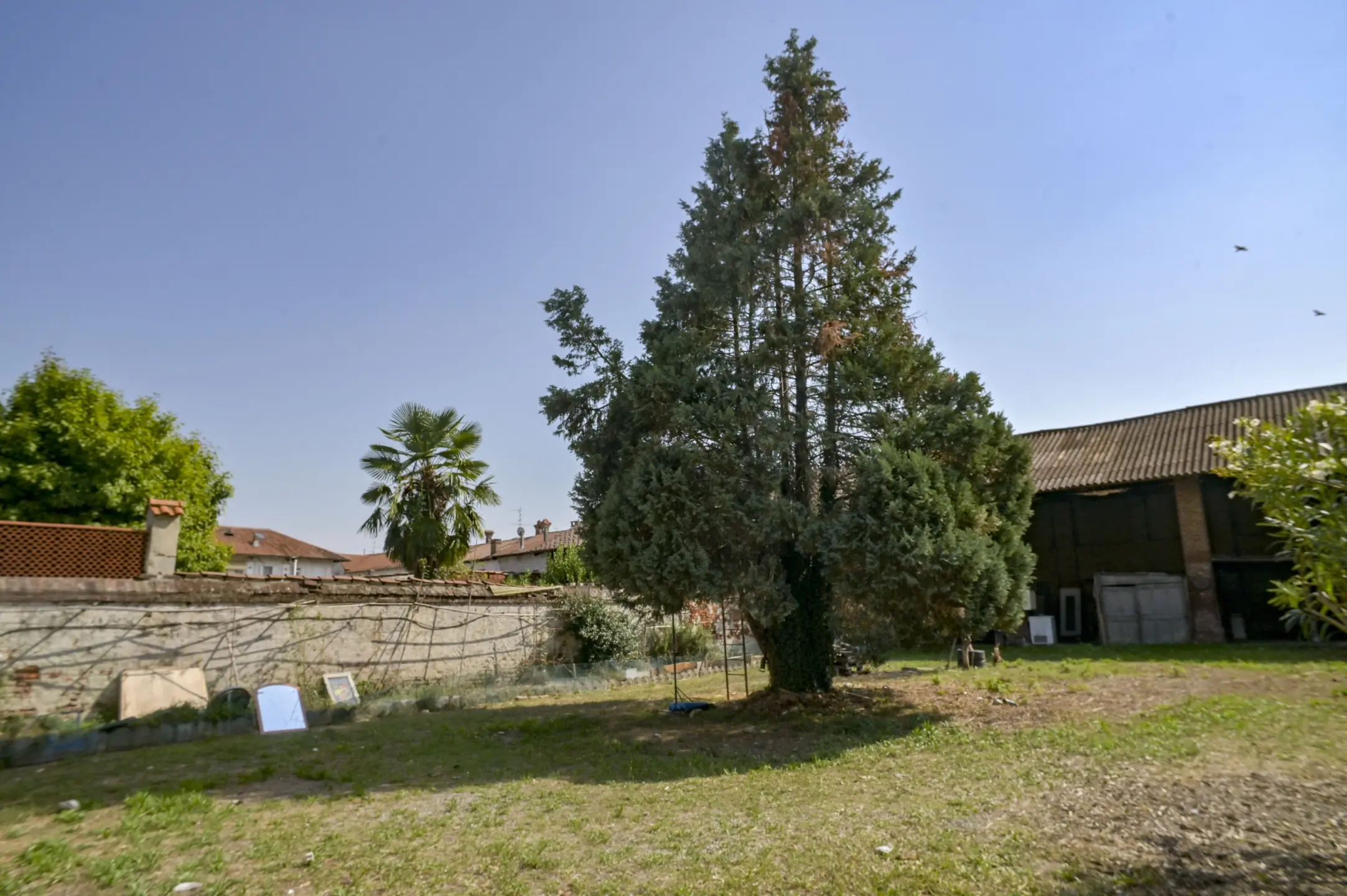 Immagine per Villa bifamiliare in vendita a Livorno Ferraris corso Leone Giordano 60