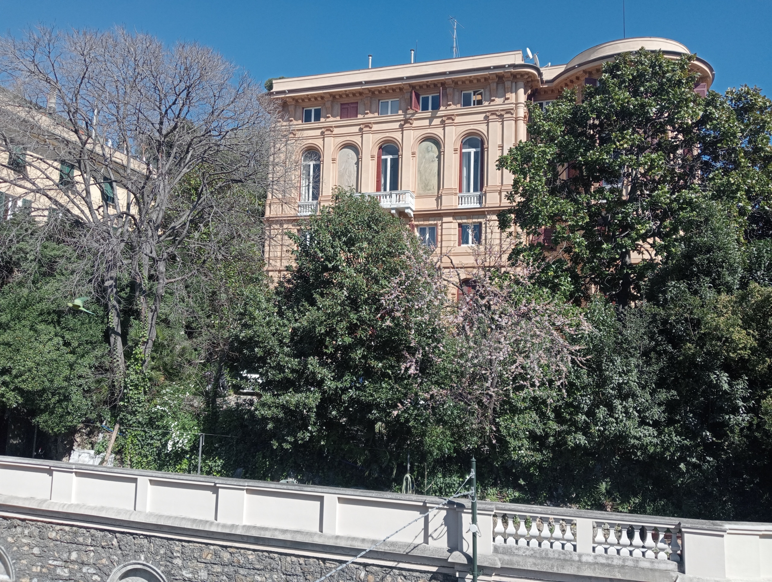 Immagine per Monolocale in affitto a Genova via Gropallo 14