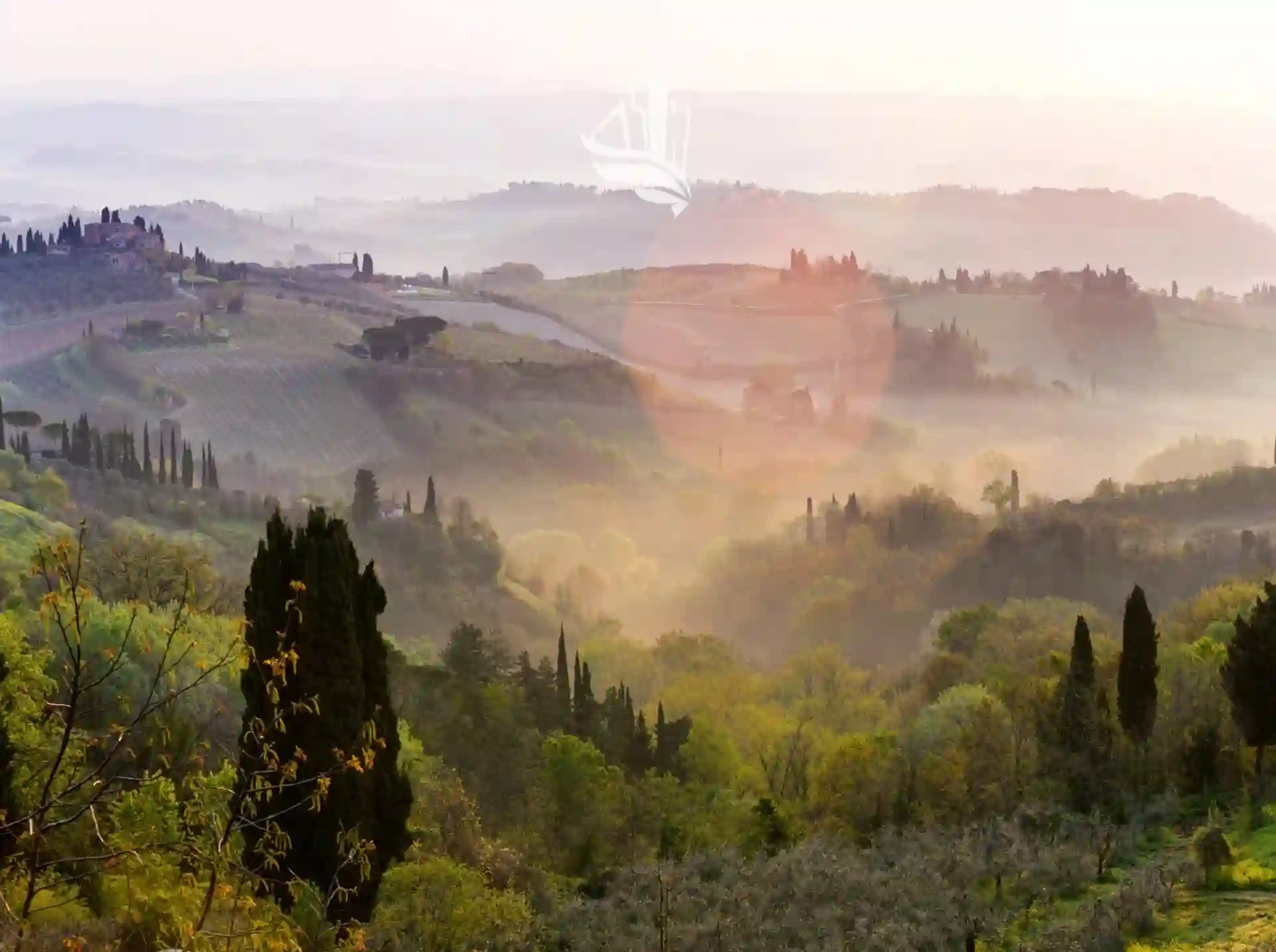 Immagine per Villa in vendita a Affi