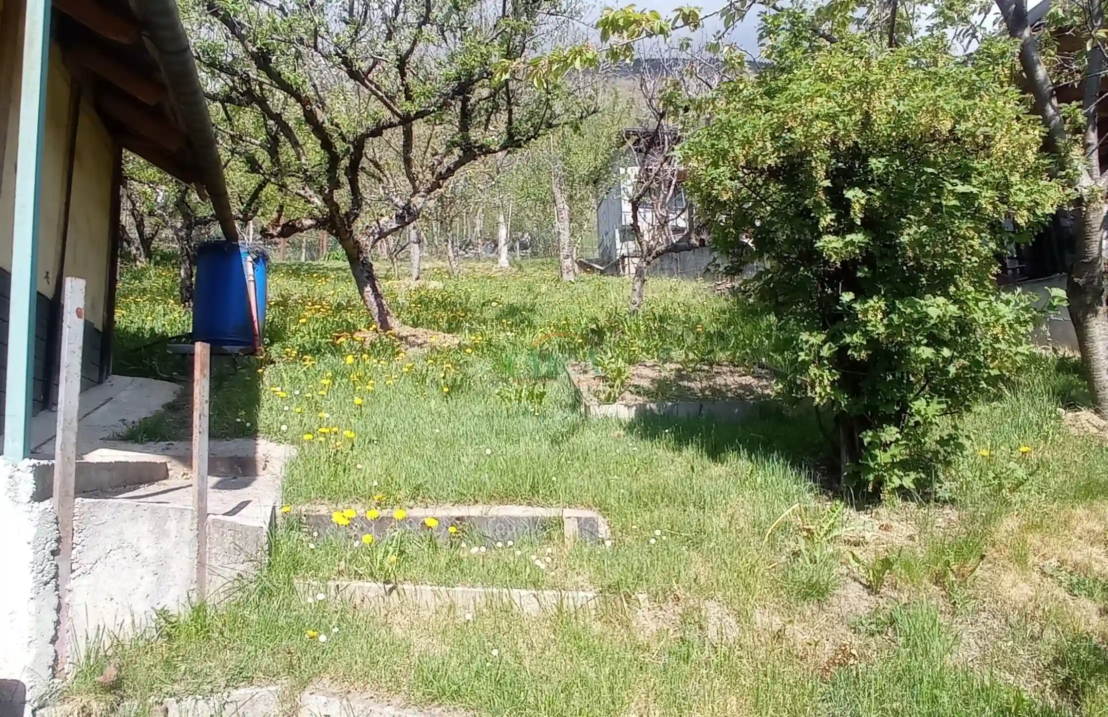 Immagine per Rustico in vendita a Malonno via Landò