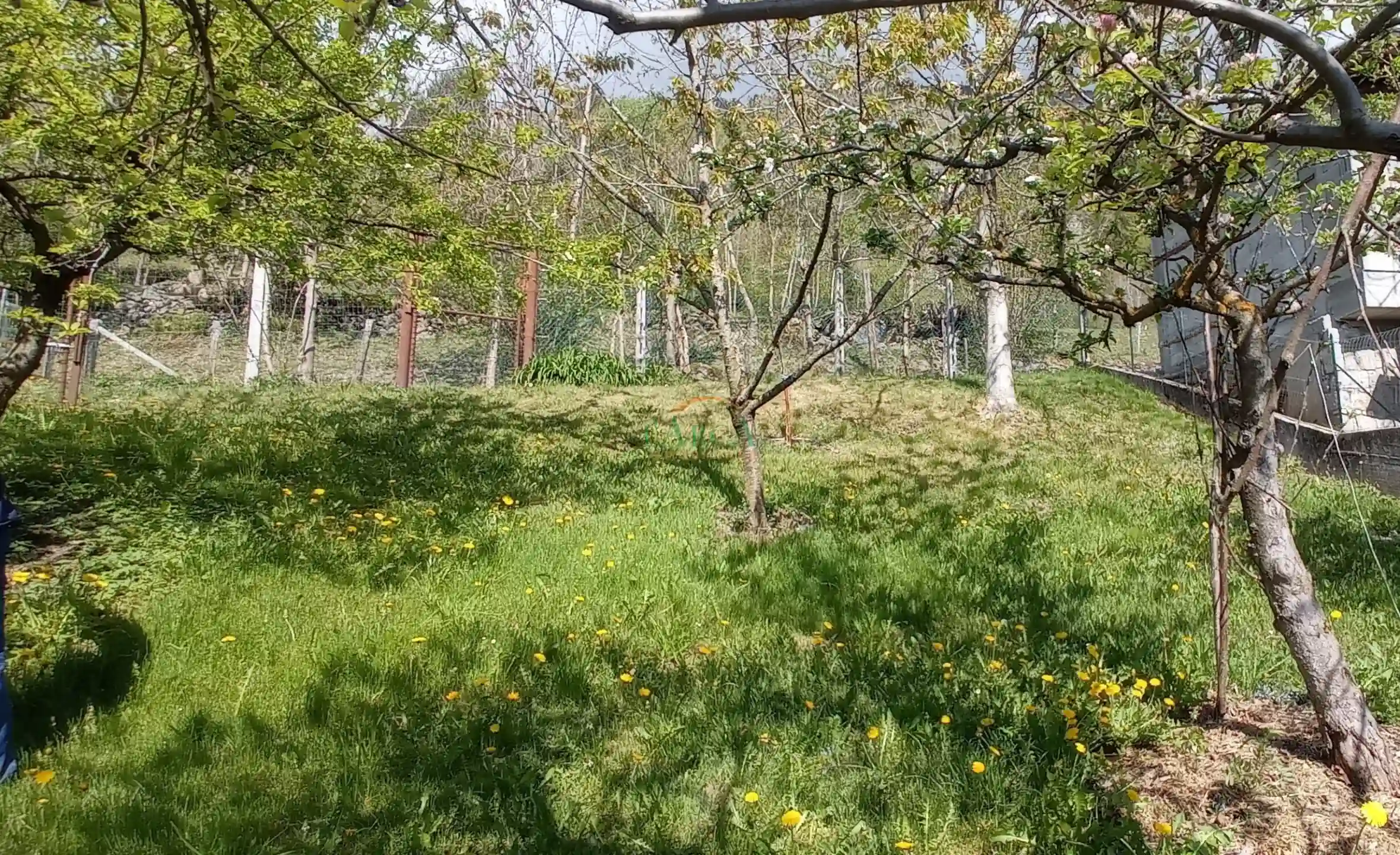 Immagine per Rustico in vendita a Malonno via Landò