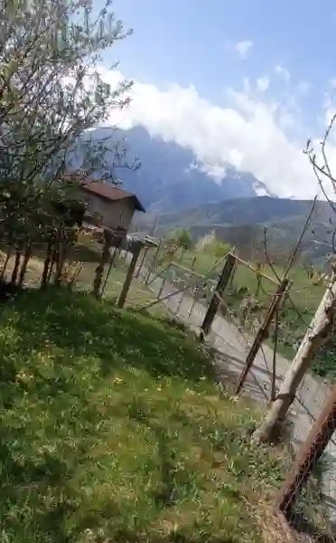Rustico via Landò, Malonno