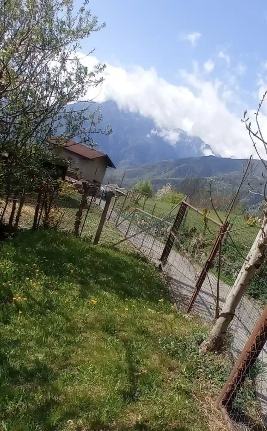 Immagine per Rustico in vendita a Malonno via Landò