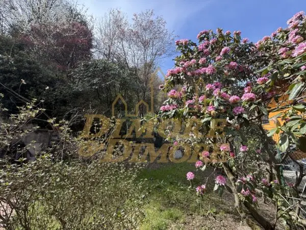 Villa Bifamiliare 43, Baveno