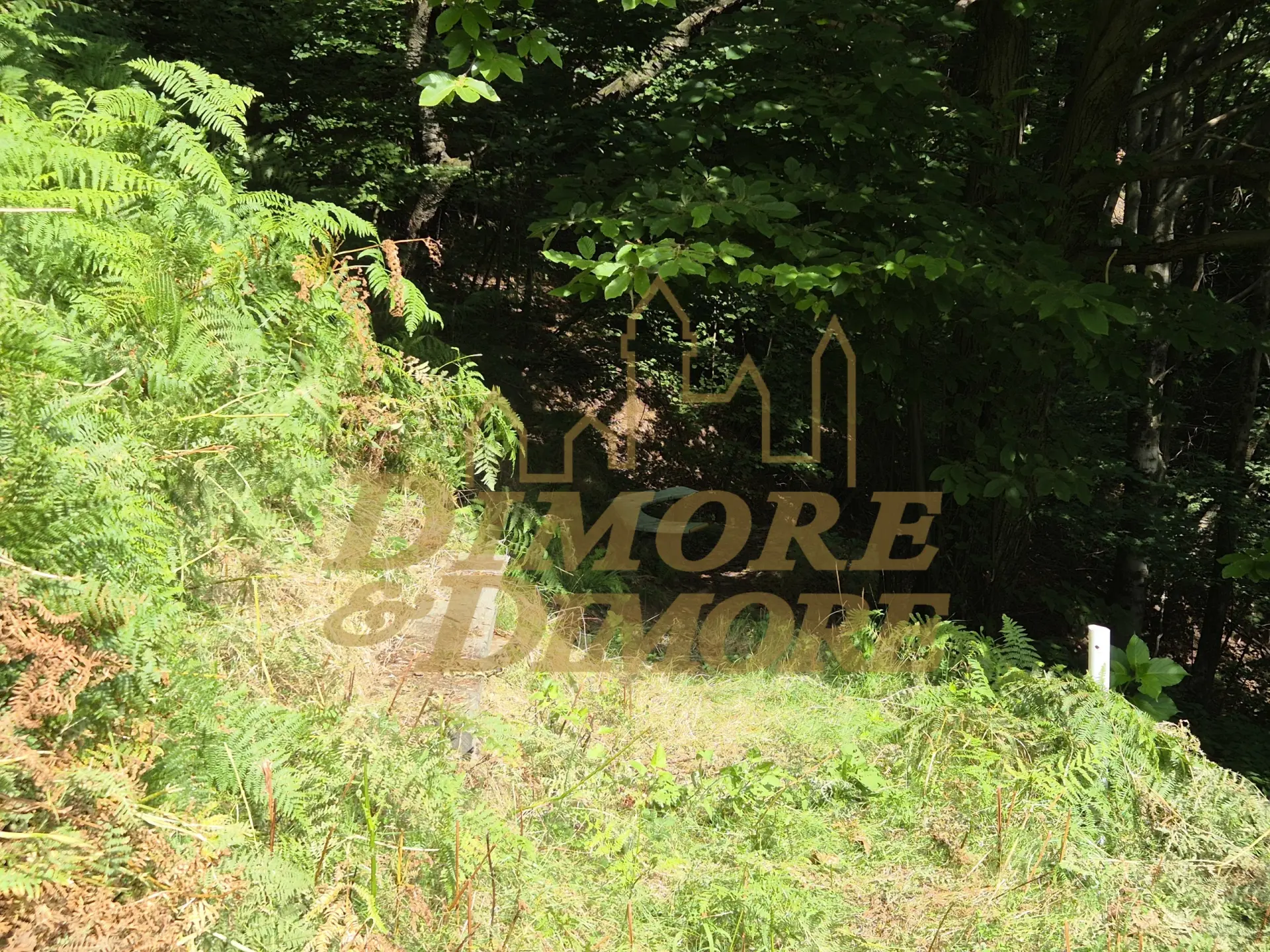 Immagine per Villa in vendita a Intragna via Per Cambiesso