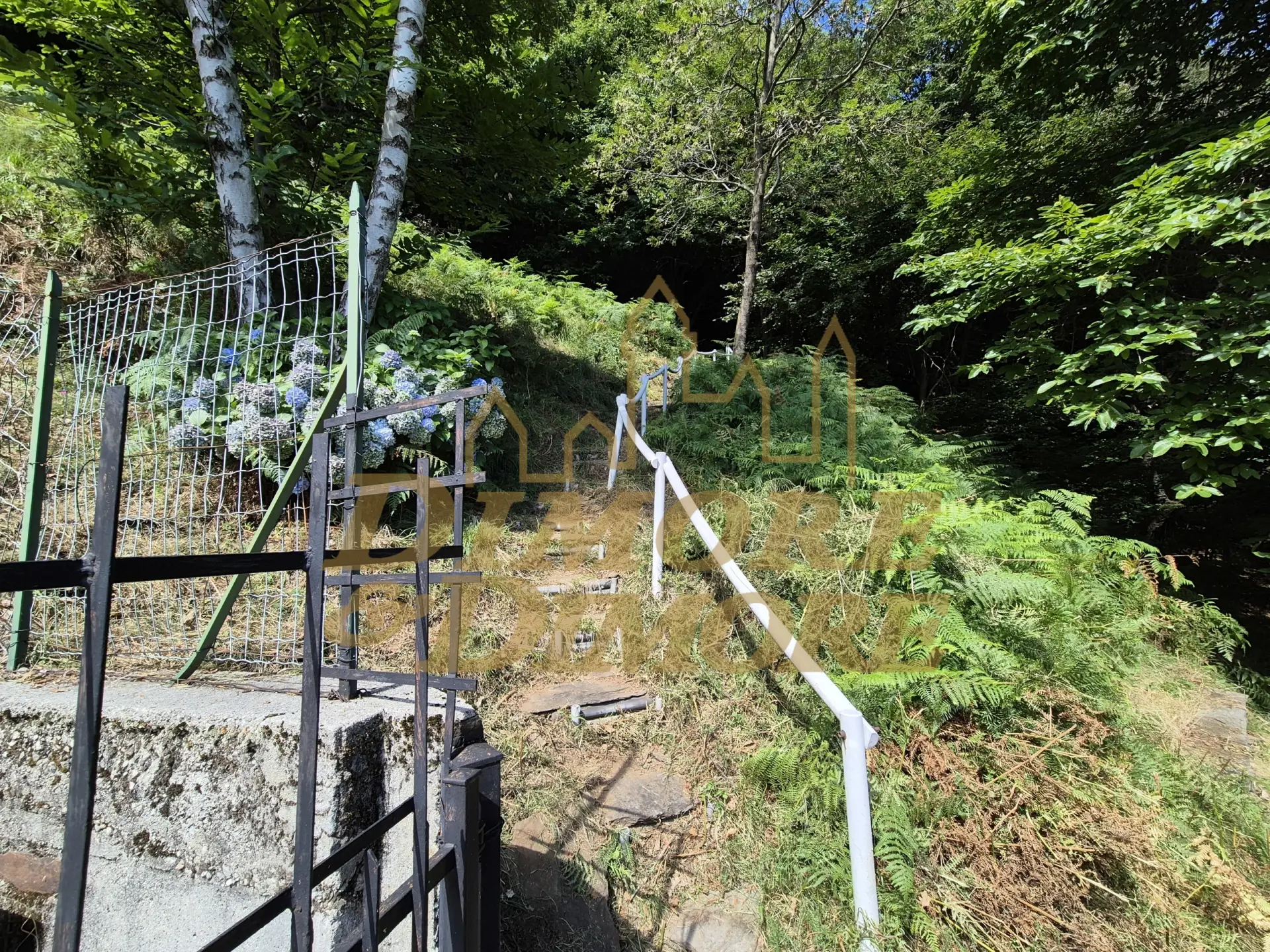 Immagine per Villa in vendita a Intragna via Per Cambiesso