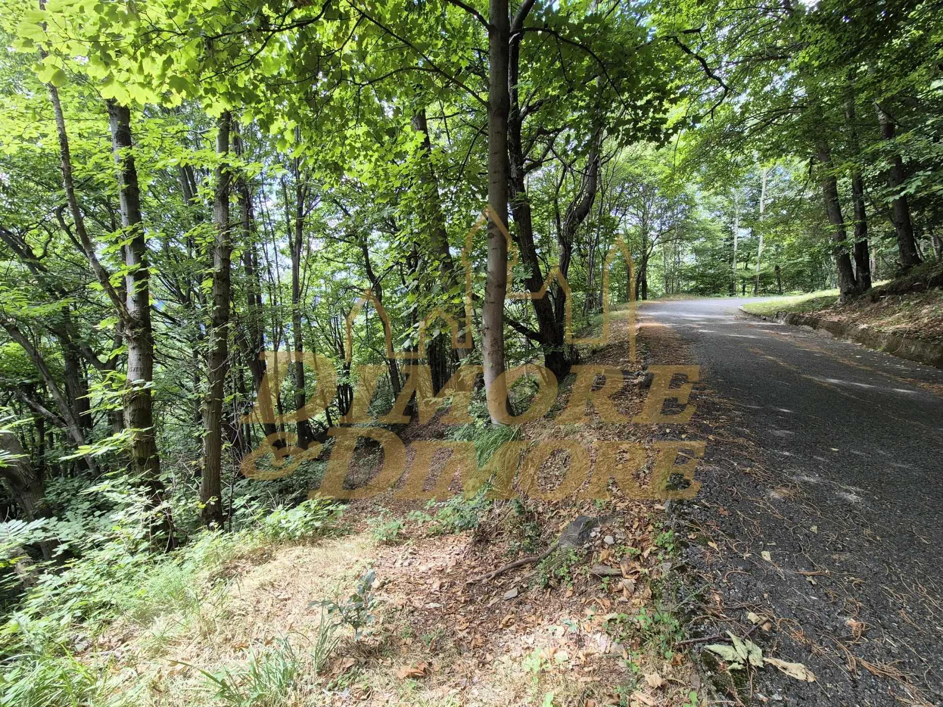 Immagine per Villa in vendita a Intragna via Per Cambiesso