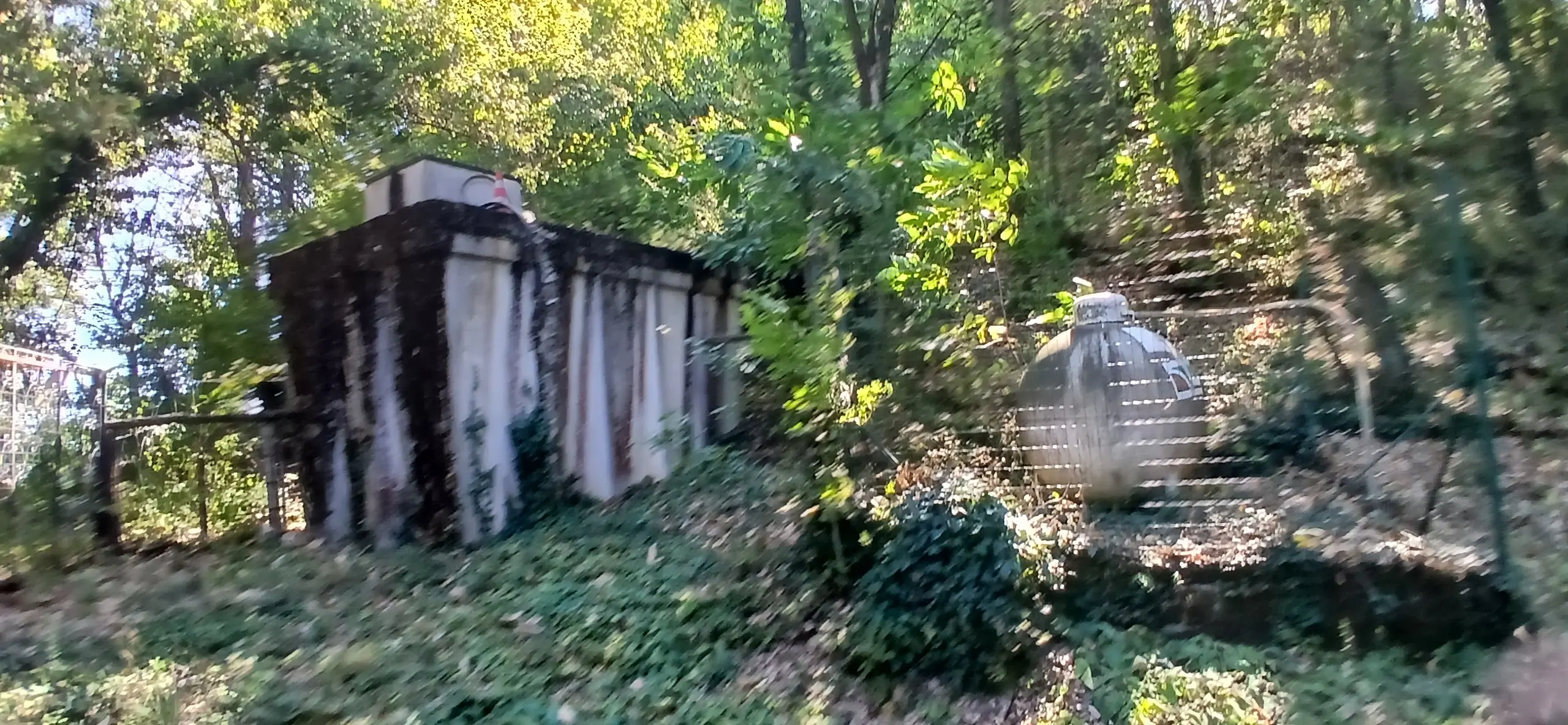 Immagine per Villa trifamiliare in vendita a Guiglia via Grottone 849