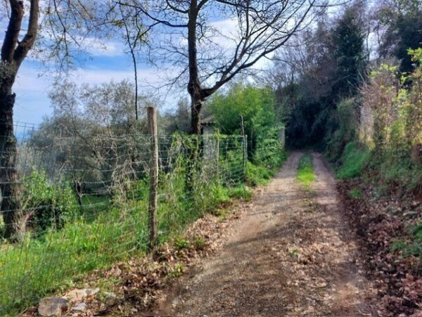 Rustico via Caffaggio 10, Ameglia