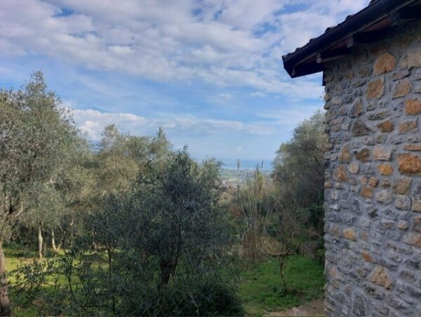 Rustico via Caffaggio 10, Ameglia