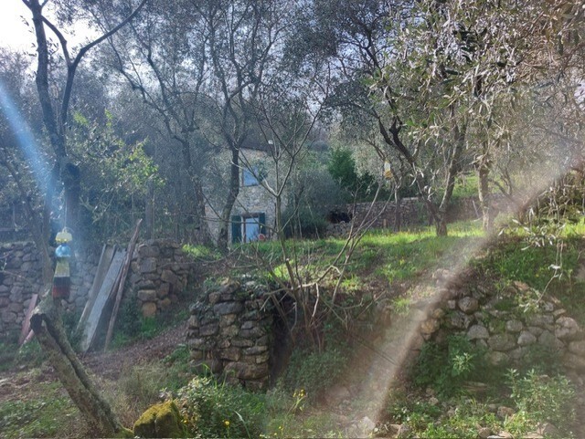 Immagine per Rustico in vendita a Ameglia via Caffaggio 10