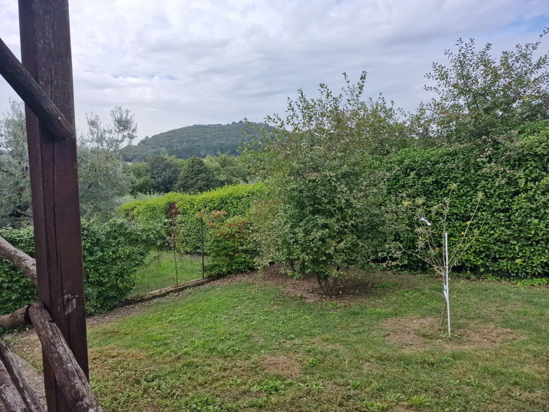 Immagine per Villa in affitto a Amelia strada Del Fondo