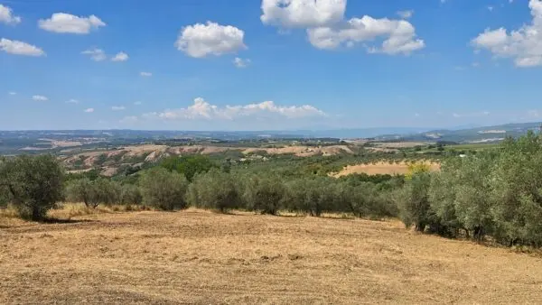 Porzione Di Casa via Selvarella 11, Montecchio