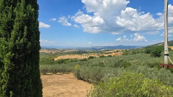 Porzione Di Casa via Selvarella 11, Montecchio