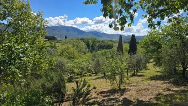 Casale via Sp 92, Baschi