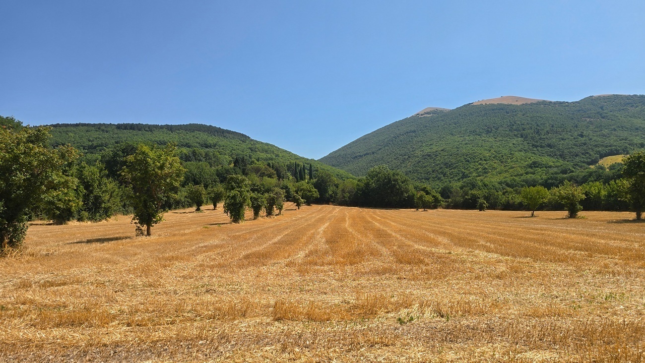 Immagine per Villa in vendita a Nocera Umbra via Vocabolo Colle 82