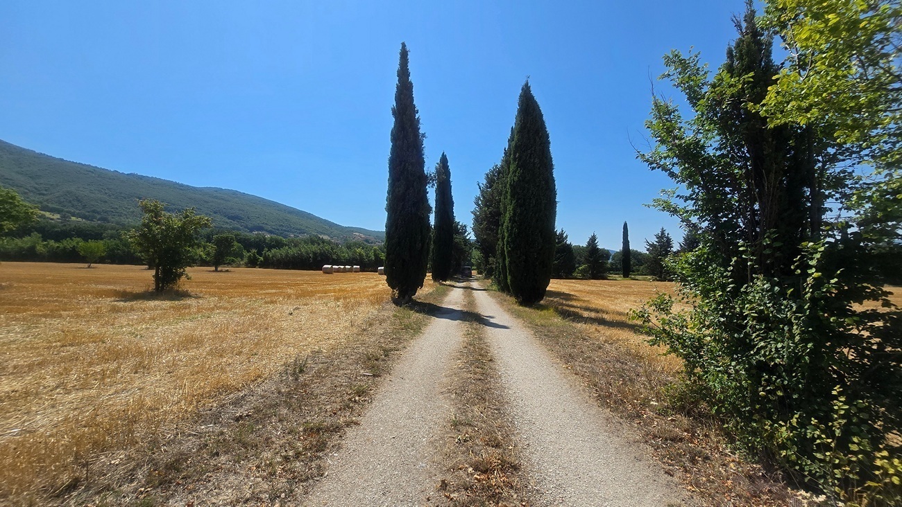 Immagine per Villa in vendita a Nocera Umbra via Vocabolo Colle 82