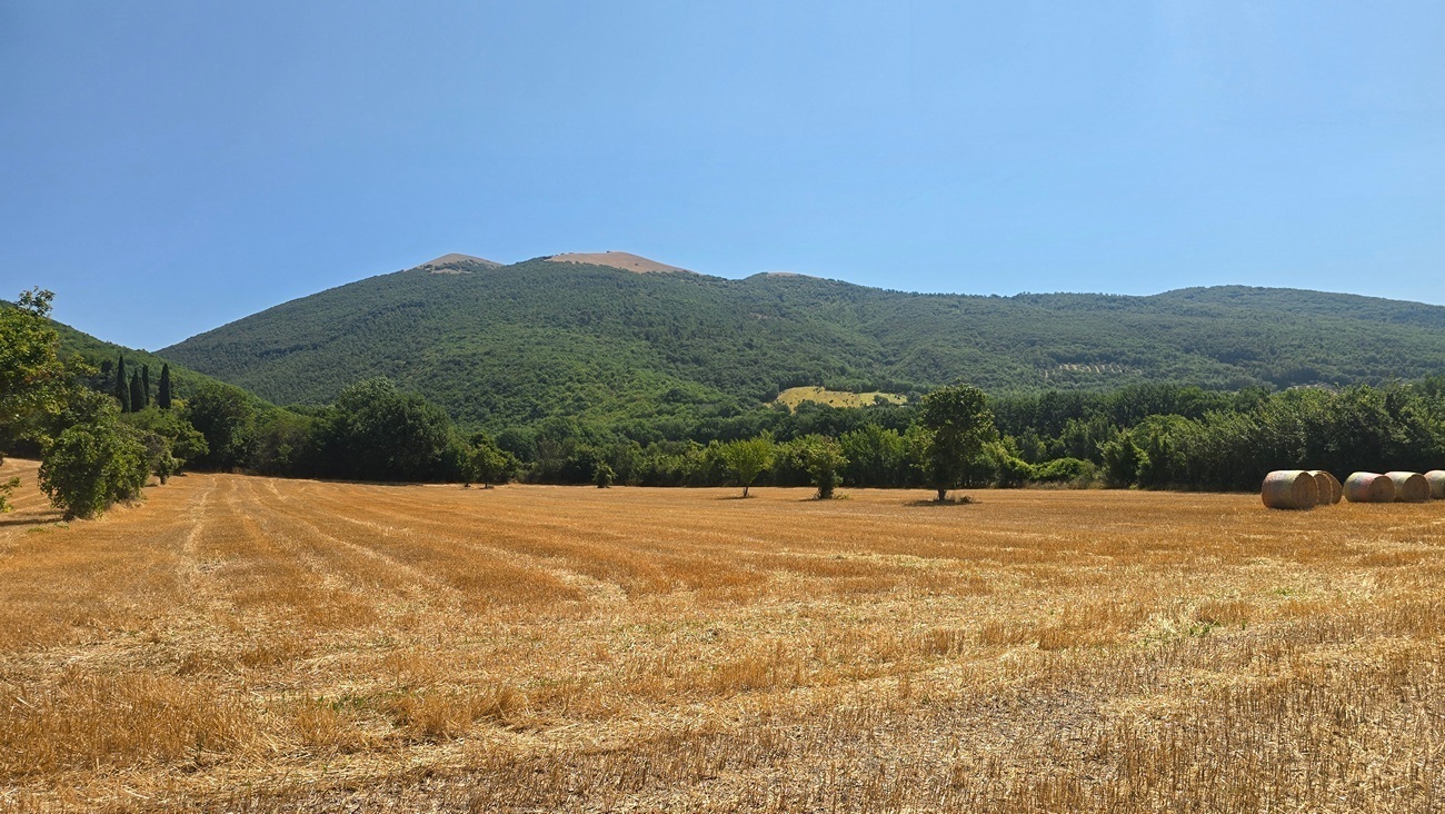 Immagine per Villa in vendita a Nocera Umbra via Vocabolo Colle 82