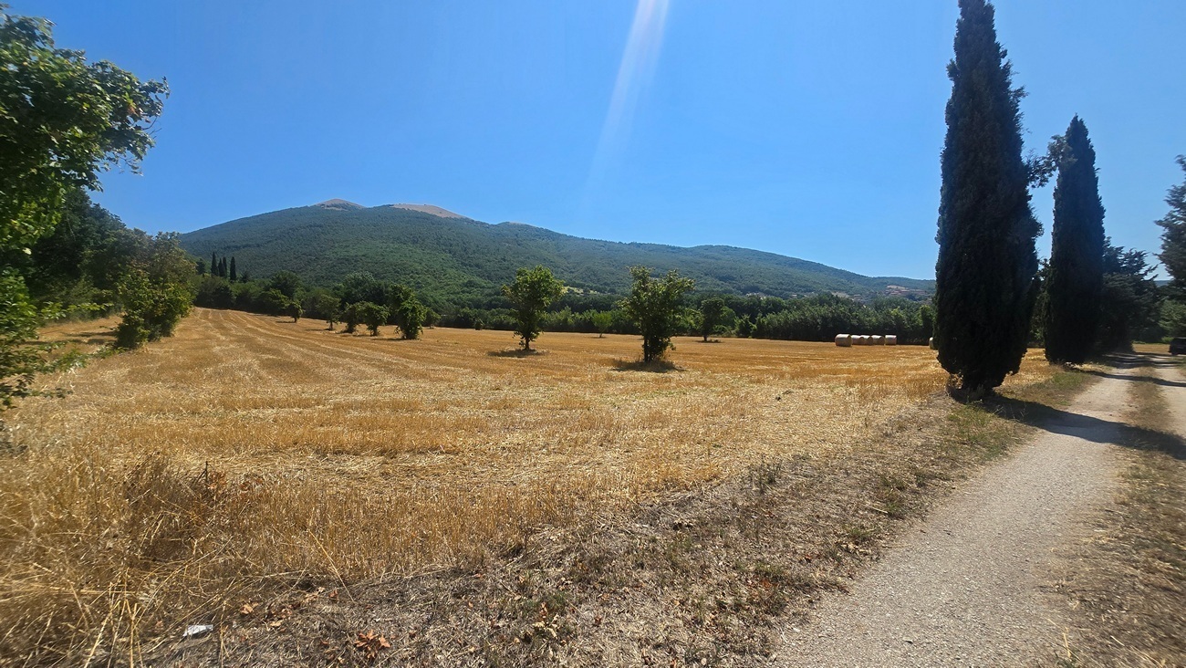 Immagine per Villa in vendita a Nocera Umbra via Vocabolo Colle 82