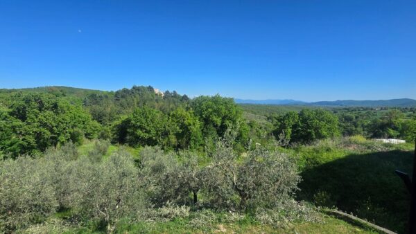 Villa 1, Baschi