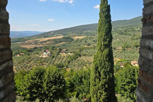 Appartamento via Della Lungara 49, Montecchio