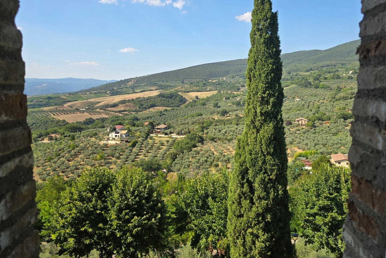 Immagine per Appartamento in vendita a Montecchio via Della Lungara 49
