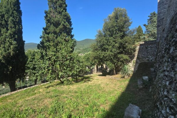 Appartamento via Della Lungara 49, Montecchio
