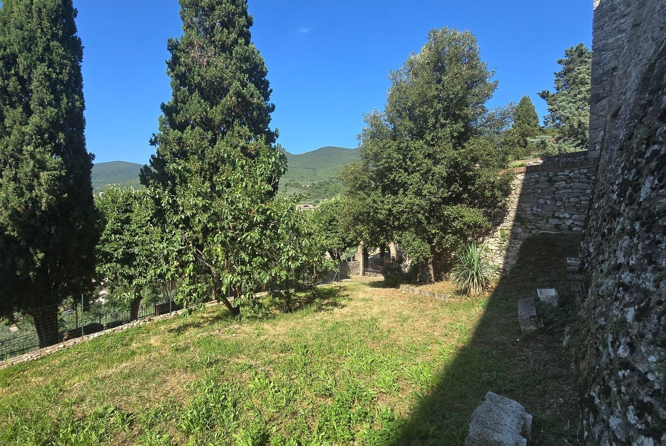 Immagine per Appartamento in vendita a Montecchio via Della Lungara 49