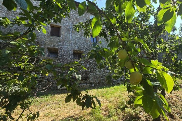 Appartamento via Della Lungara 49, Montecchio