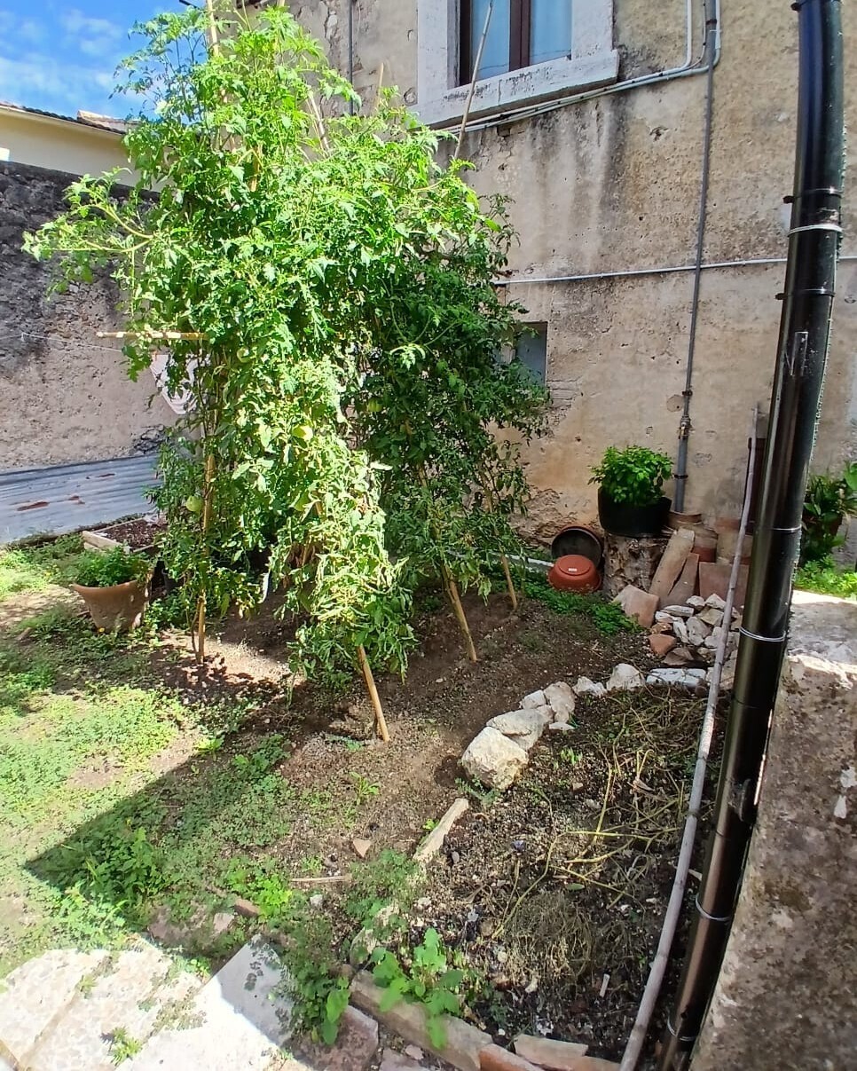 Immagine per Trilocale in vendita a Amelia piazza Iii Novembre 5