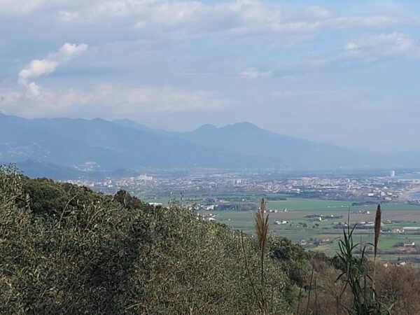 Rustico via Vincenzo Monti, Ameglia